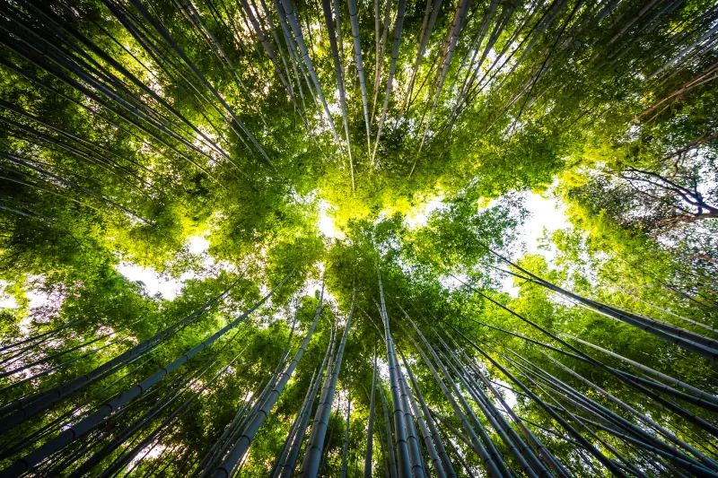 UniSENAI abre inscrições para três cursos gratuitos EAD sobre energias renováveis